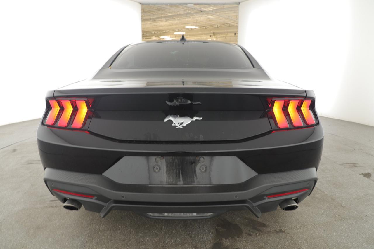 2024 Ford Mustang New Braunfels TX