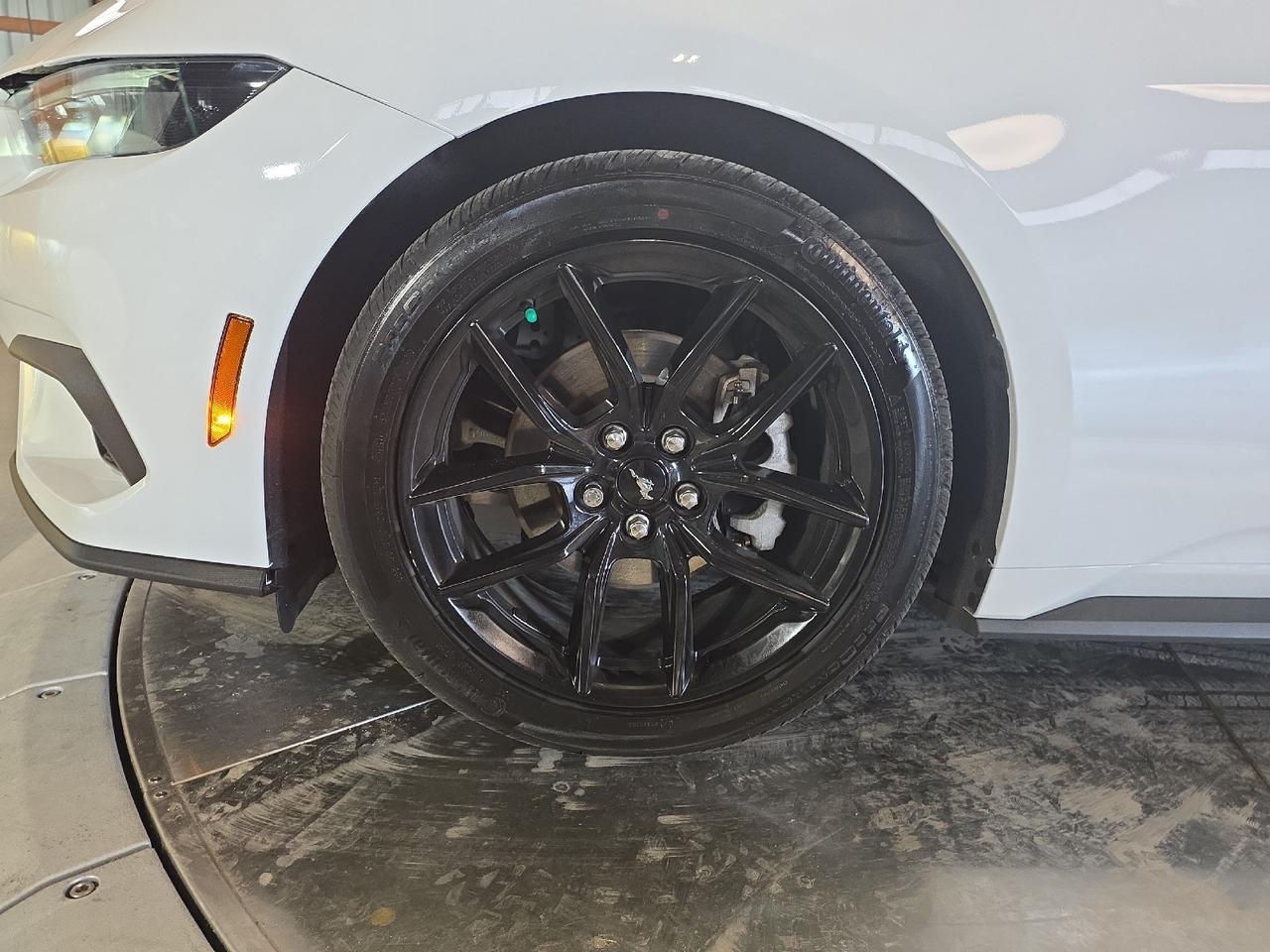 2024 Ford Mustang Sand Lake NY