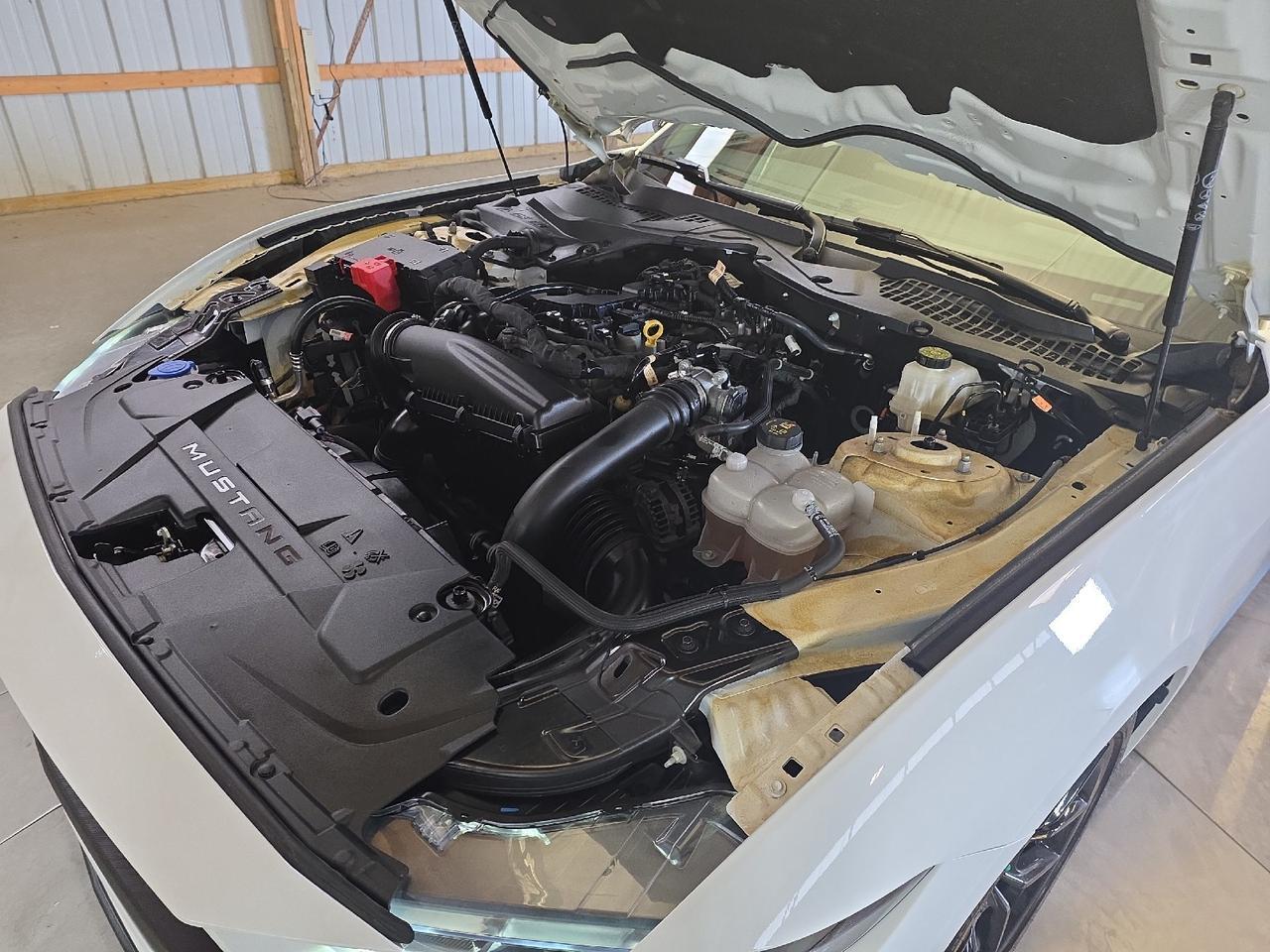 2024 Ford Mustang Sand Lake NY