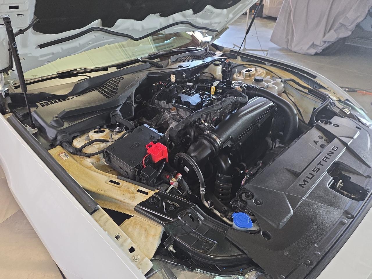 2024 Ford Mustang Sand Lake NY