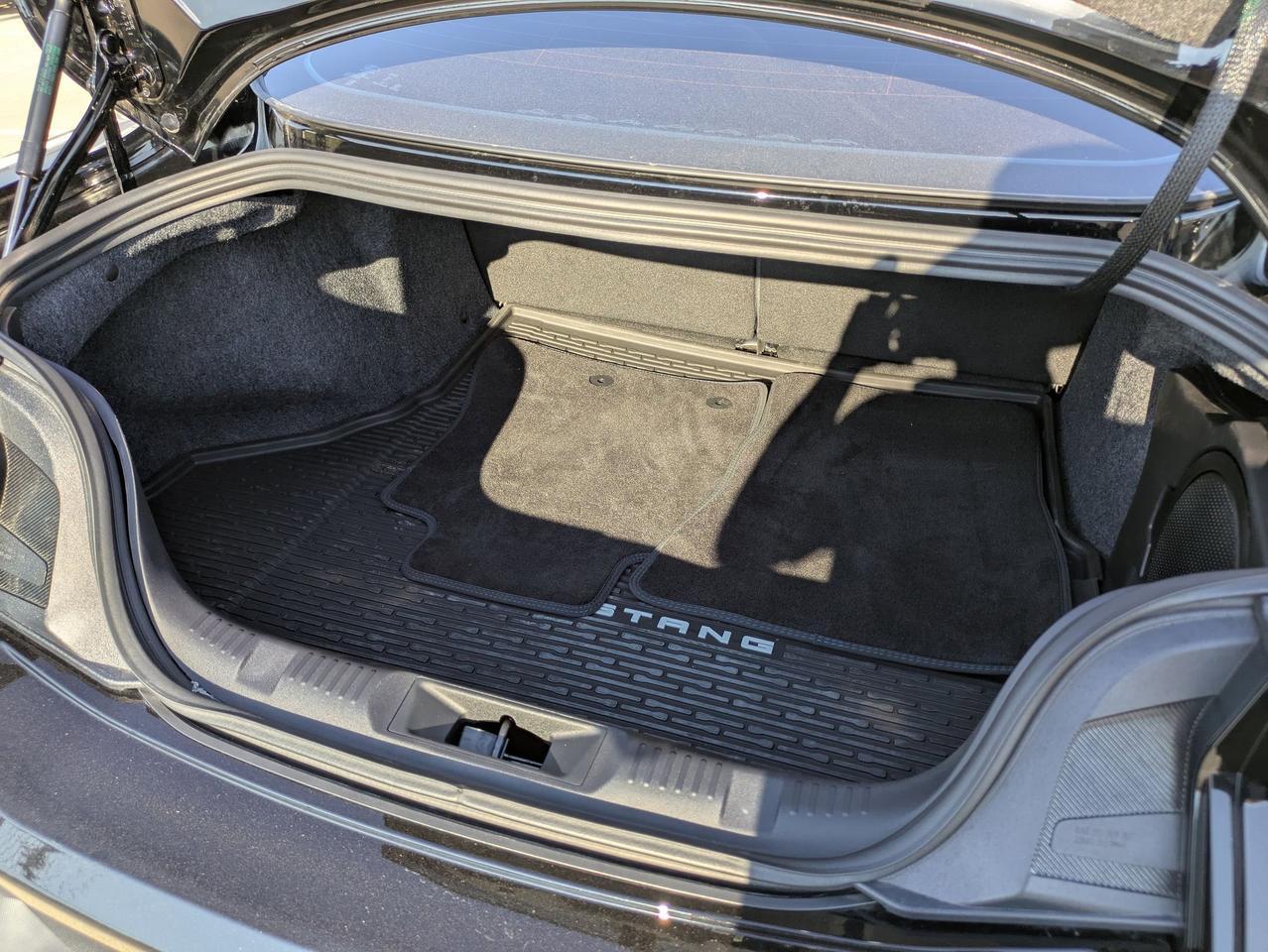 2024 Ford Mustang Dark Horse Castroville TX