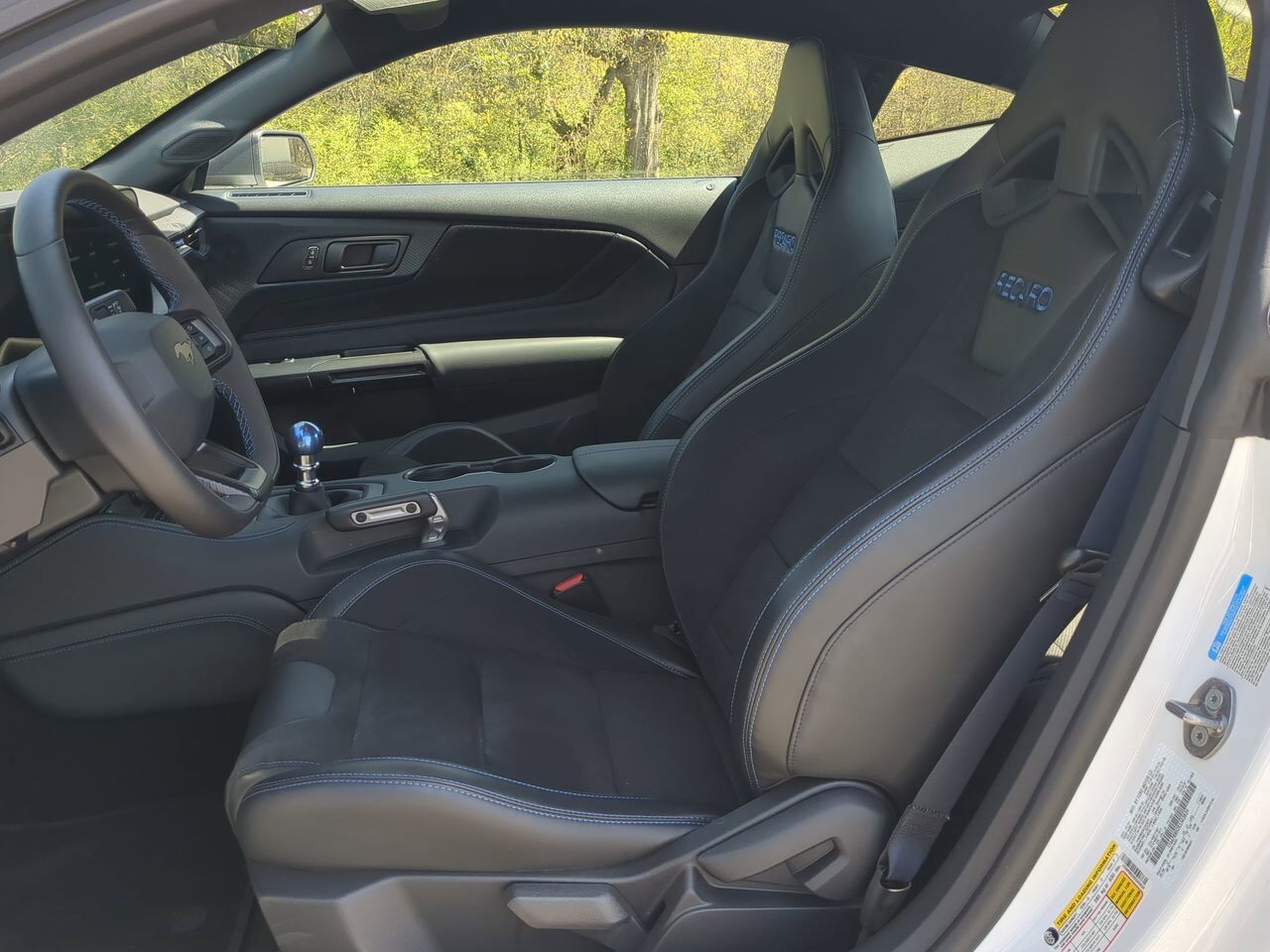 2024 Ford Mustang Dark Horse Winder GA