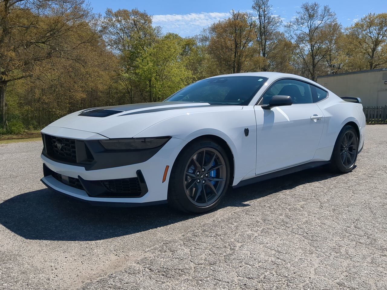 2024 Ford Mustang Dark Horse Winder GA