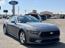 2024_Ford_Mustang_EcoBoost_  TX
