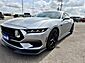 2024 Ford Mustang EcoBoost  TX