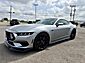 2024 Ford Mustang EcoBoost  TX