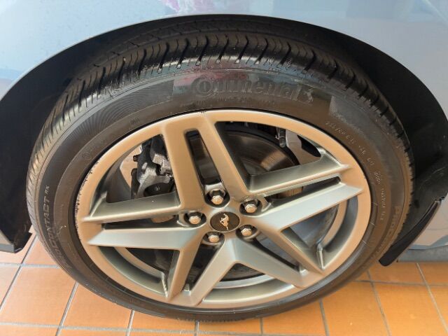 2024 Ford Mustang EcoBoost Fastback Charlotte NC