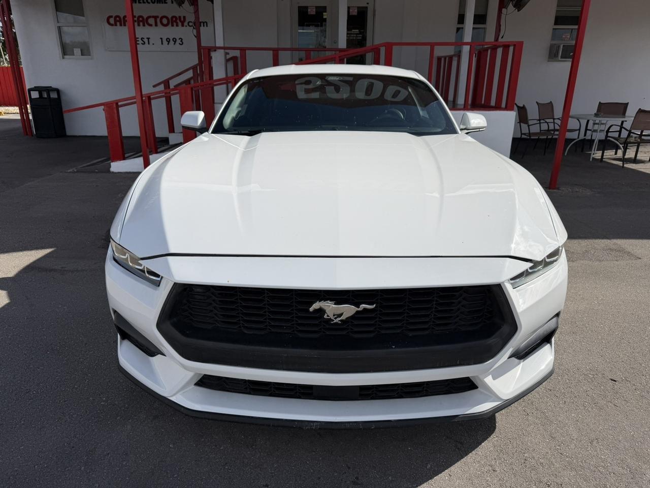 2024 Ford Mustang EcoBoost Hollywood FL