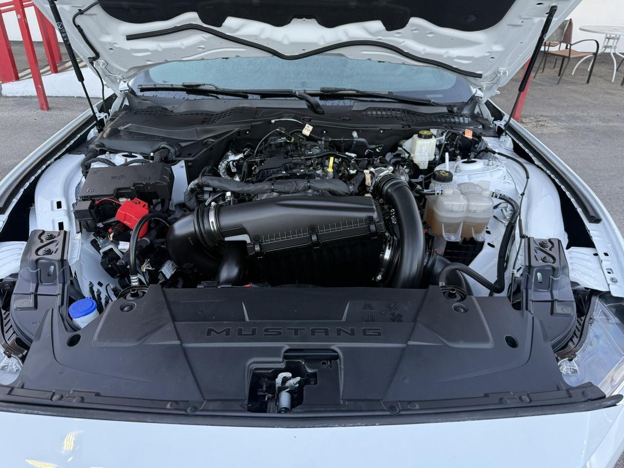 2024 Ford Mustang EcoBoost Hollywood FL