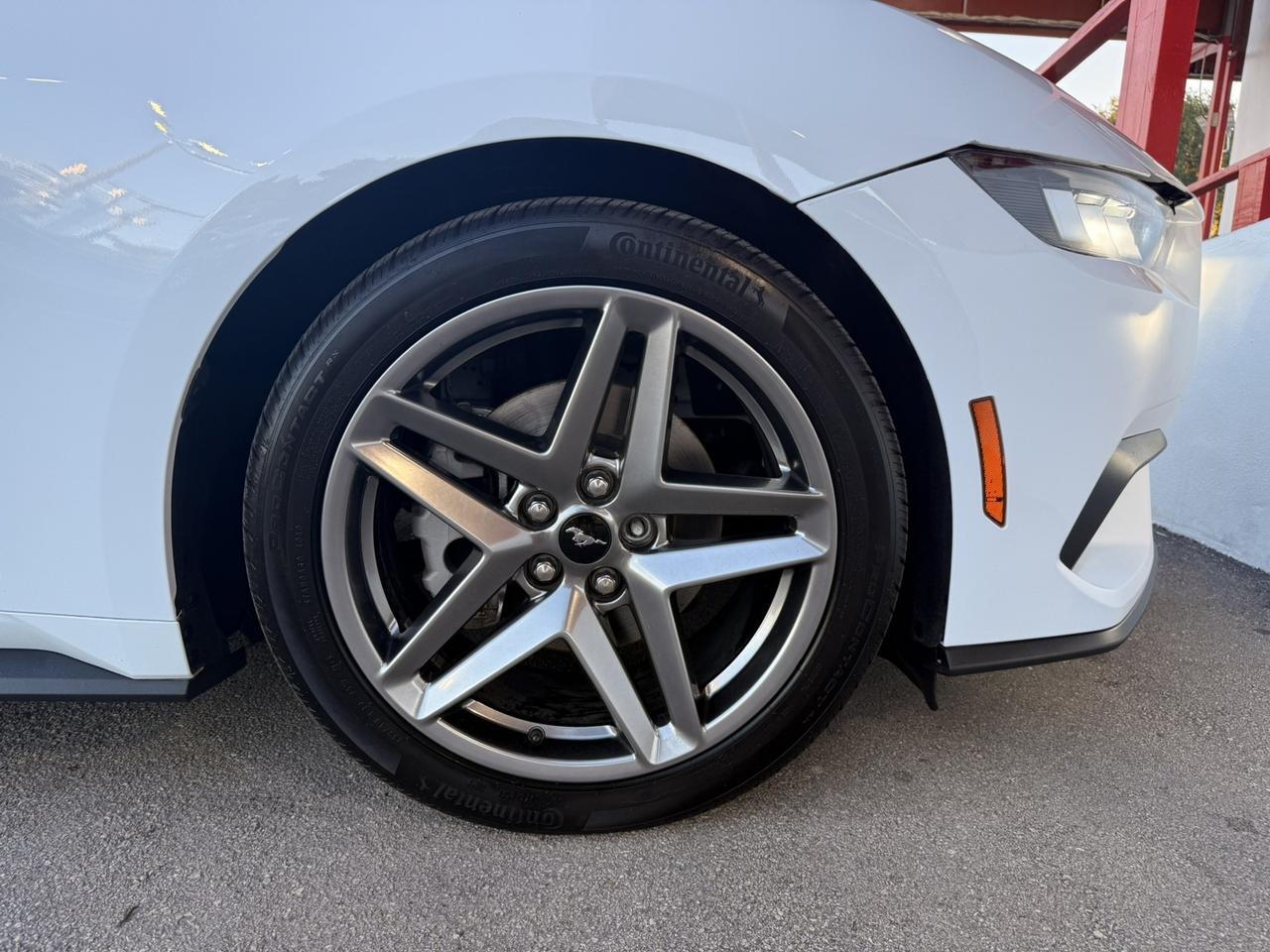 2024 Ford Mustang EcoBoost Hollywood FL