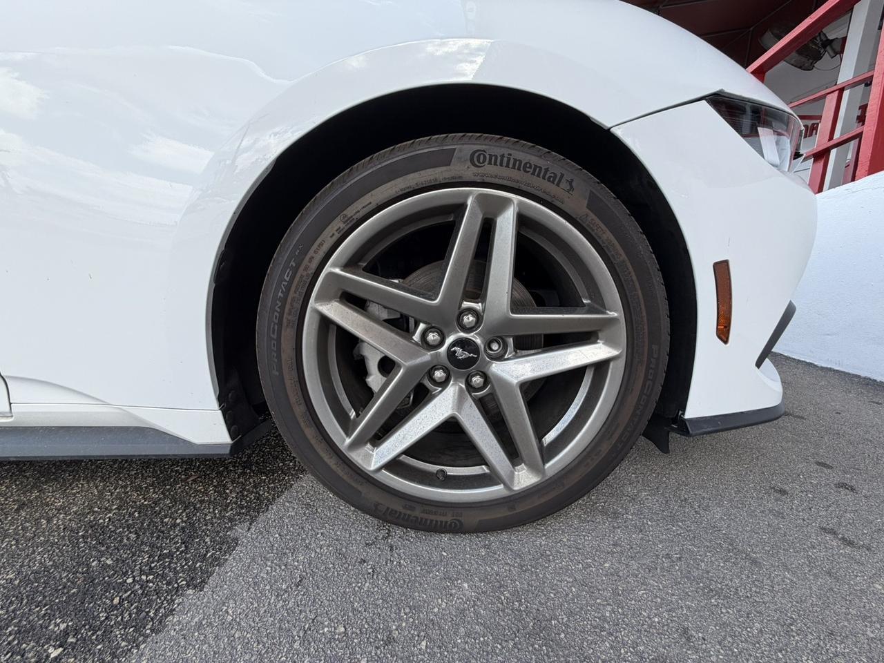 2024 Ford Mustang EcoBoost Hollywood FL