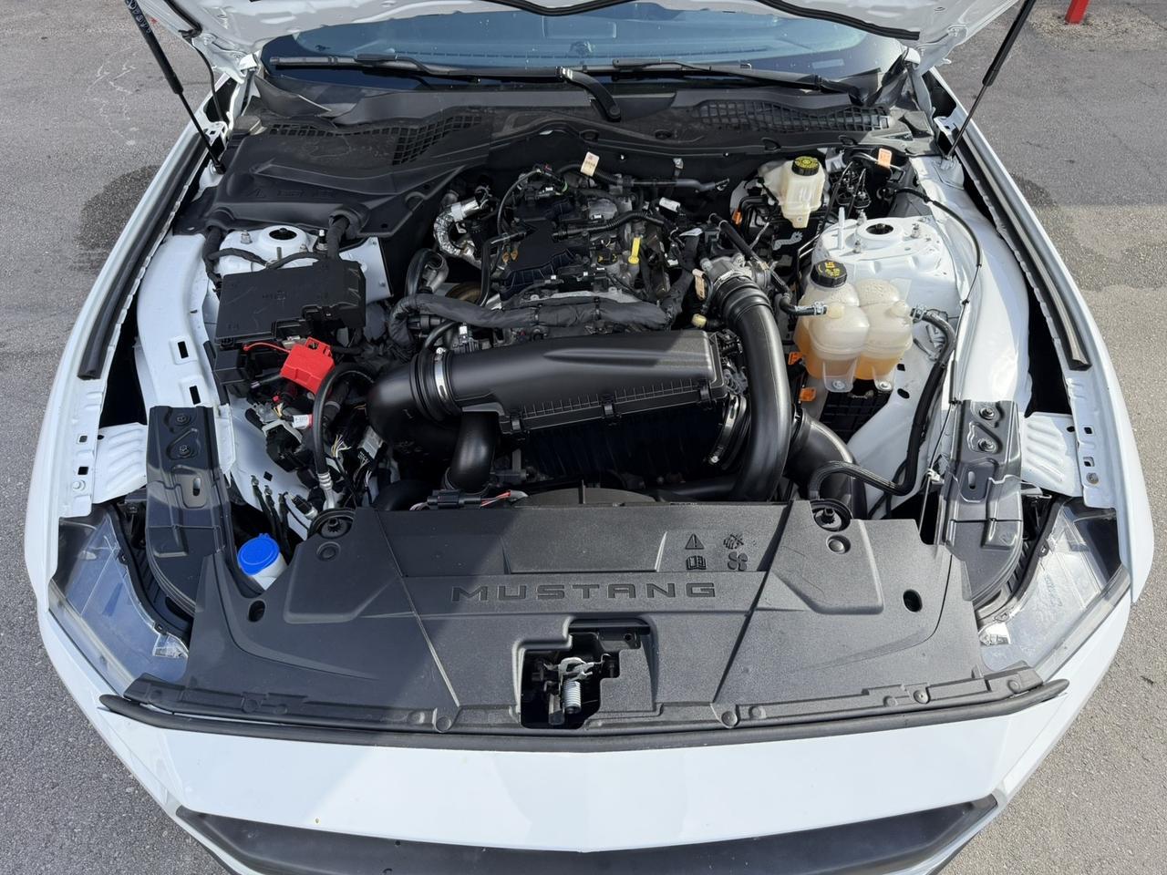 2024 Ford Mustang EcoBoost Hollywood FL