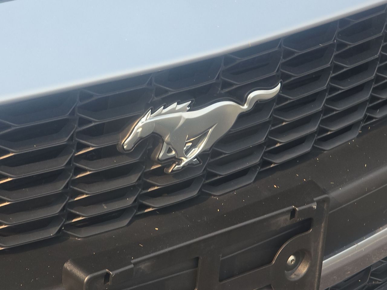 2024 Ford Mustang EcoBoost Premium Columbus OH