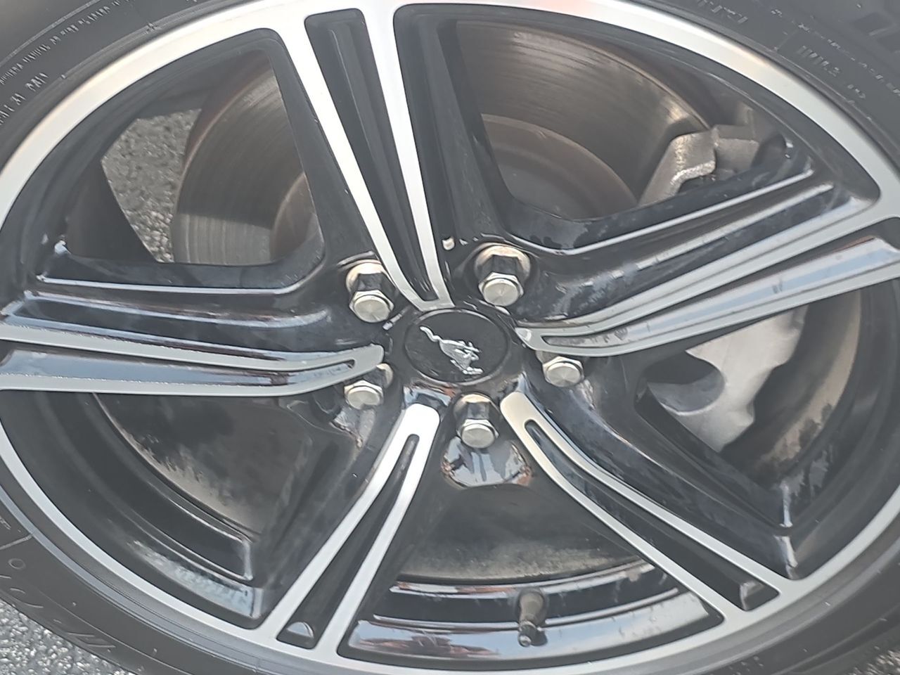 2024 Ford Mustang EcoBoost Premium Columbus OH
