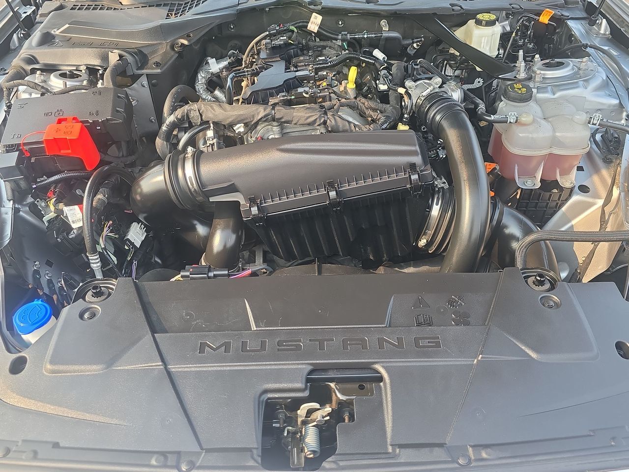 2024 Ford Mustang EcoBoost Premium Columbus OH