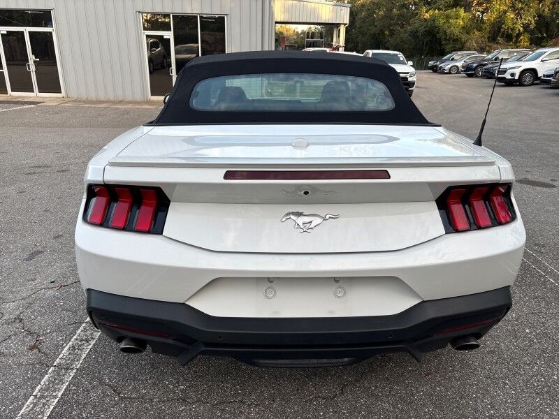 2024 Ford Mustang EcoBoost Premium Convertible Seffner FL