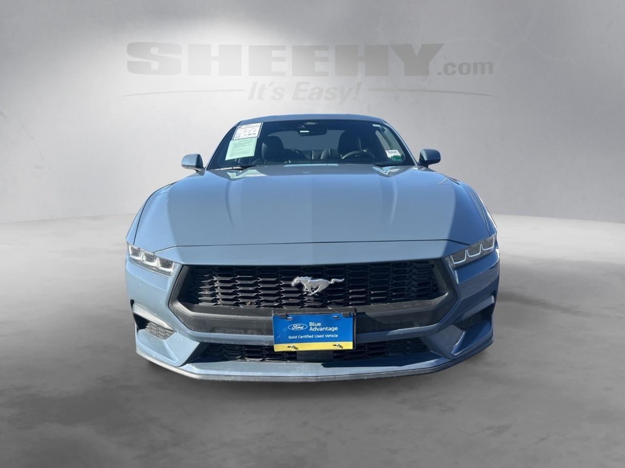 2024 Ford Mustang EcoBoost Premium Richmond VA
