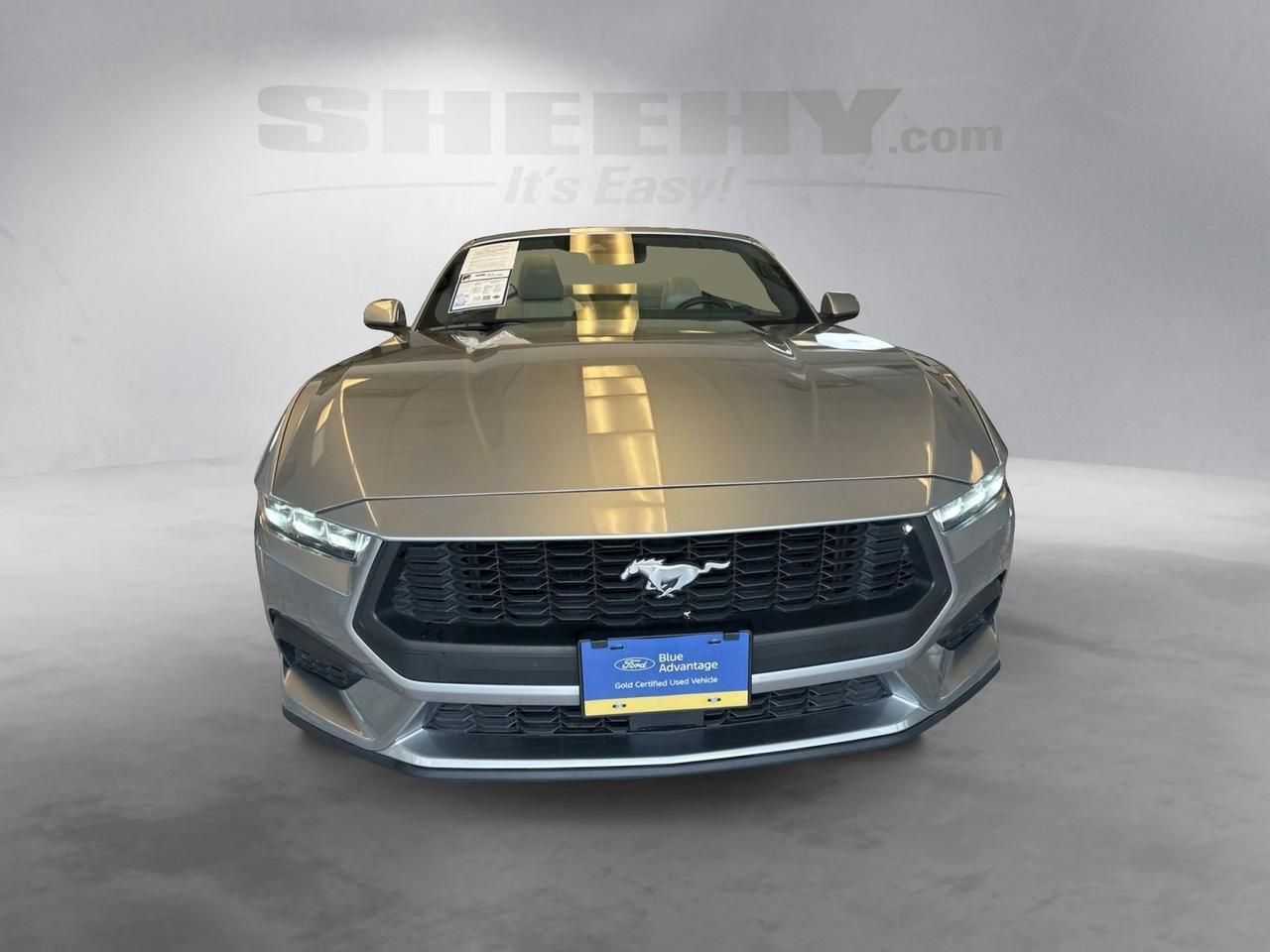 2024 Ford Mustang EcoBoost Premium Richmond VA
