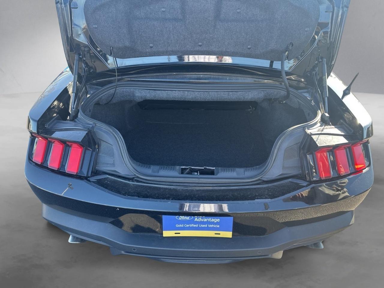 2024 Ford Mustang EcoBoost Premium Richmond VA