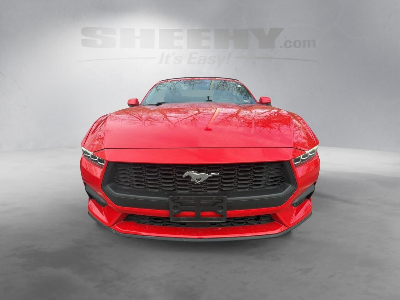 2024 Ford Mustang EcoBoost Premium Annapolis MD