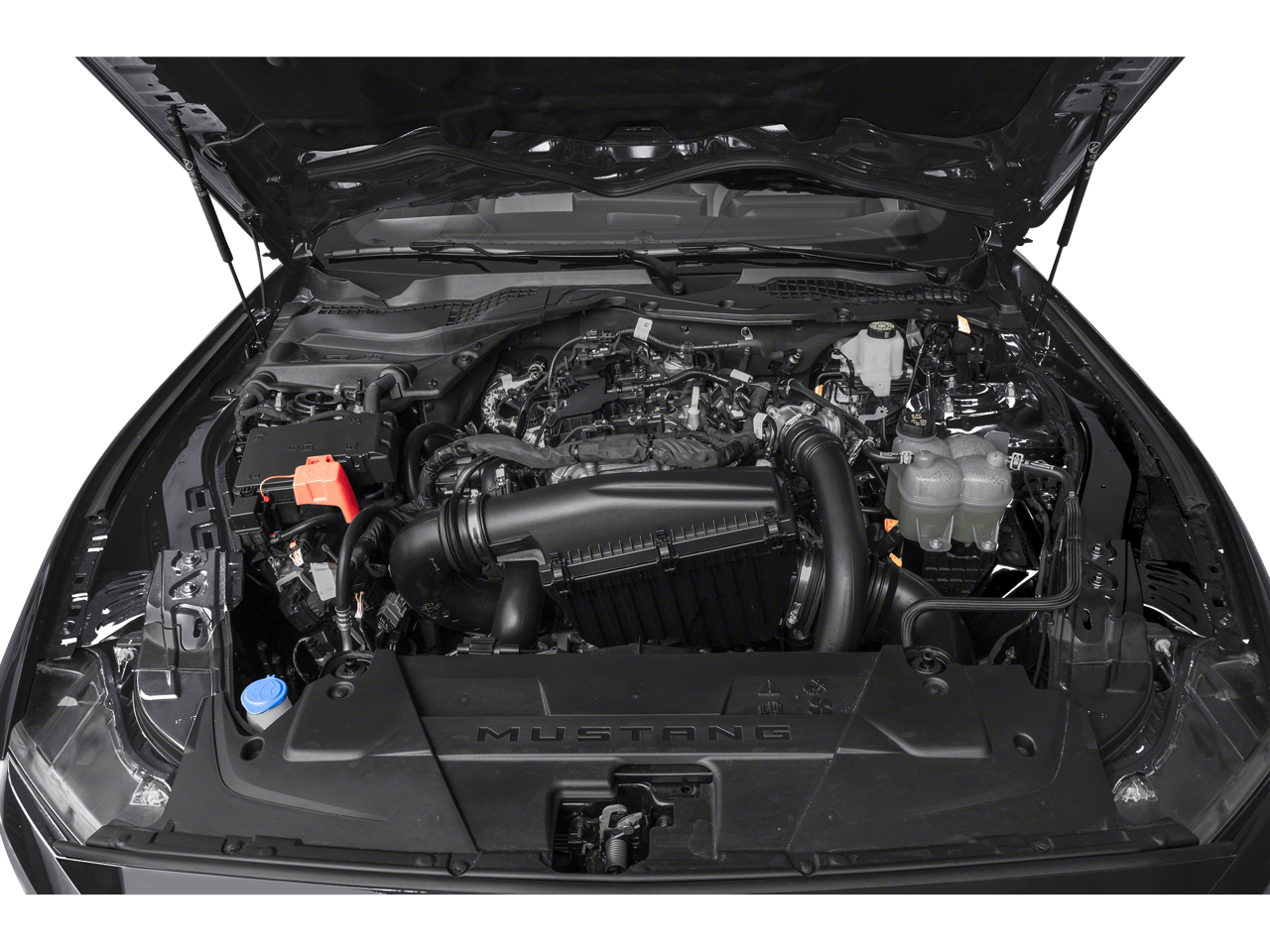 2024 Ford Mustang EcoBoost Roseville CA
