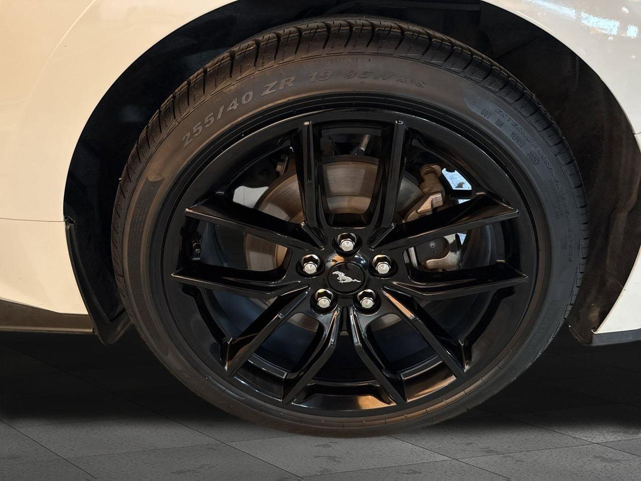 2024 Ford Mustang EcoBoost San Antonio TX