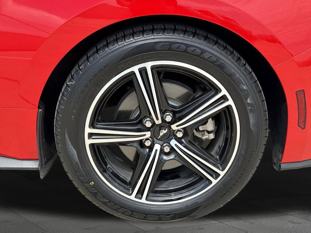 2024 Ford Mustang EcoBoost San Antonio TX