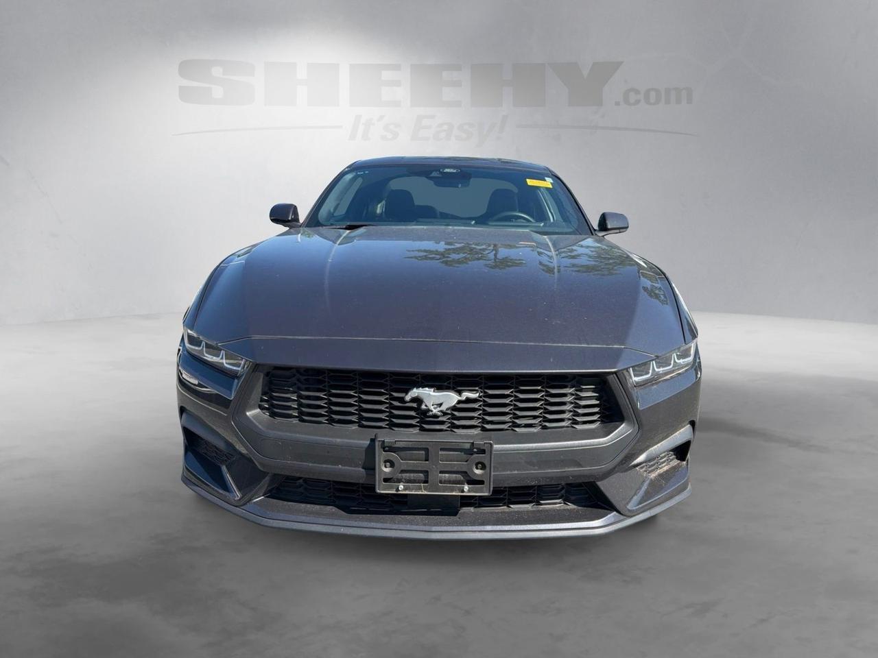 2024 Ford Mustang EcoBoost Gaithersburg MD