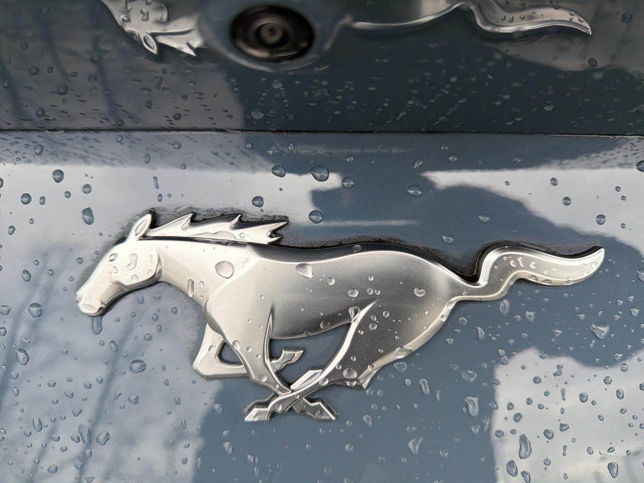 2024 Ford Mustang EcoBoost Gaithersburg MD