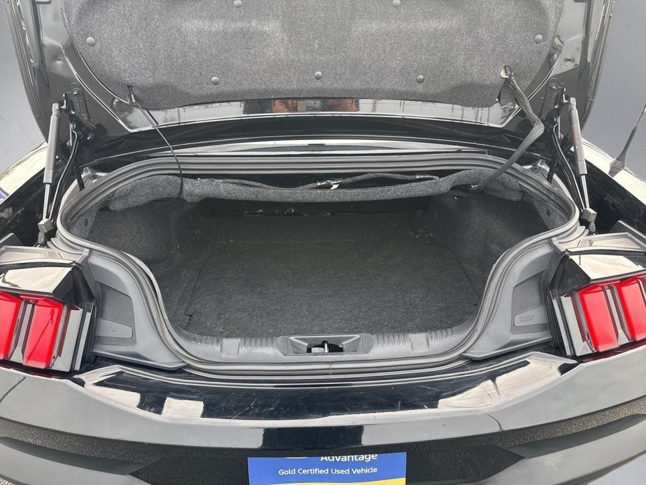 2024 Ford Mustang EcoBoost Richmond VA