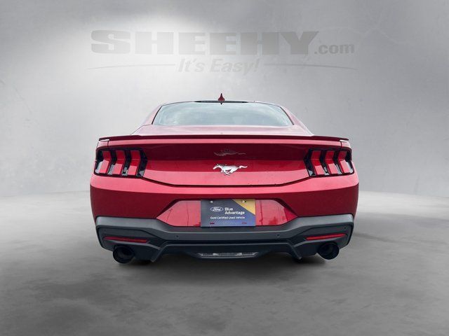 2024 Ford Mustang EcoBoost Richmond VA