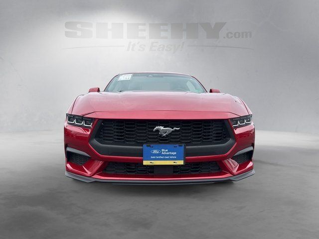 2024 Ford Mustang EcoBoost Richmond VA