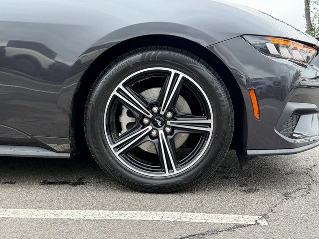 2024 Ford Mustang EcoBoost Springfield VA