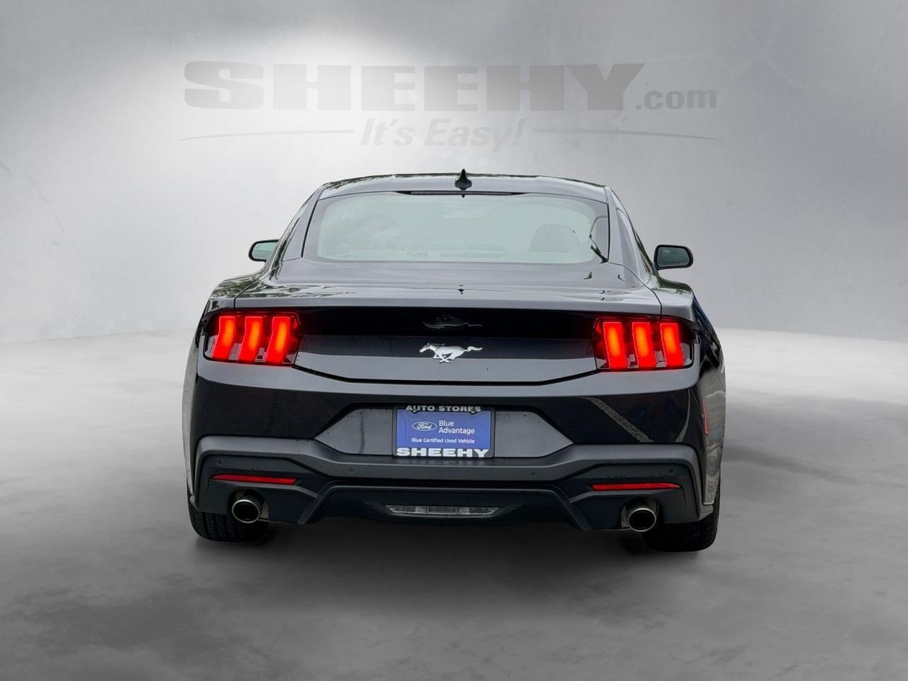 2024 Ford Mustang EcoBoost Springfield VA