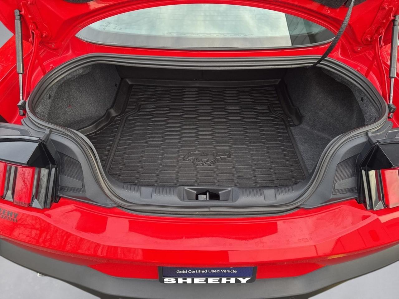 2024 Ford Mustang EcoBoost Warrenton VA