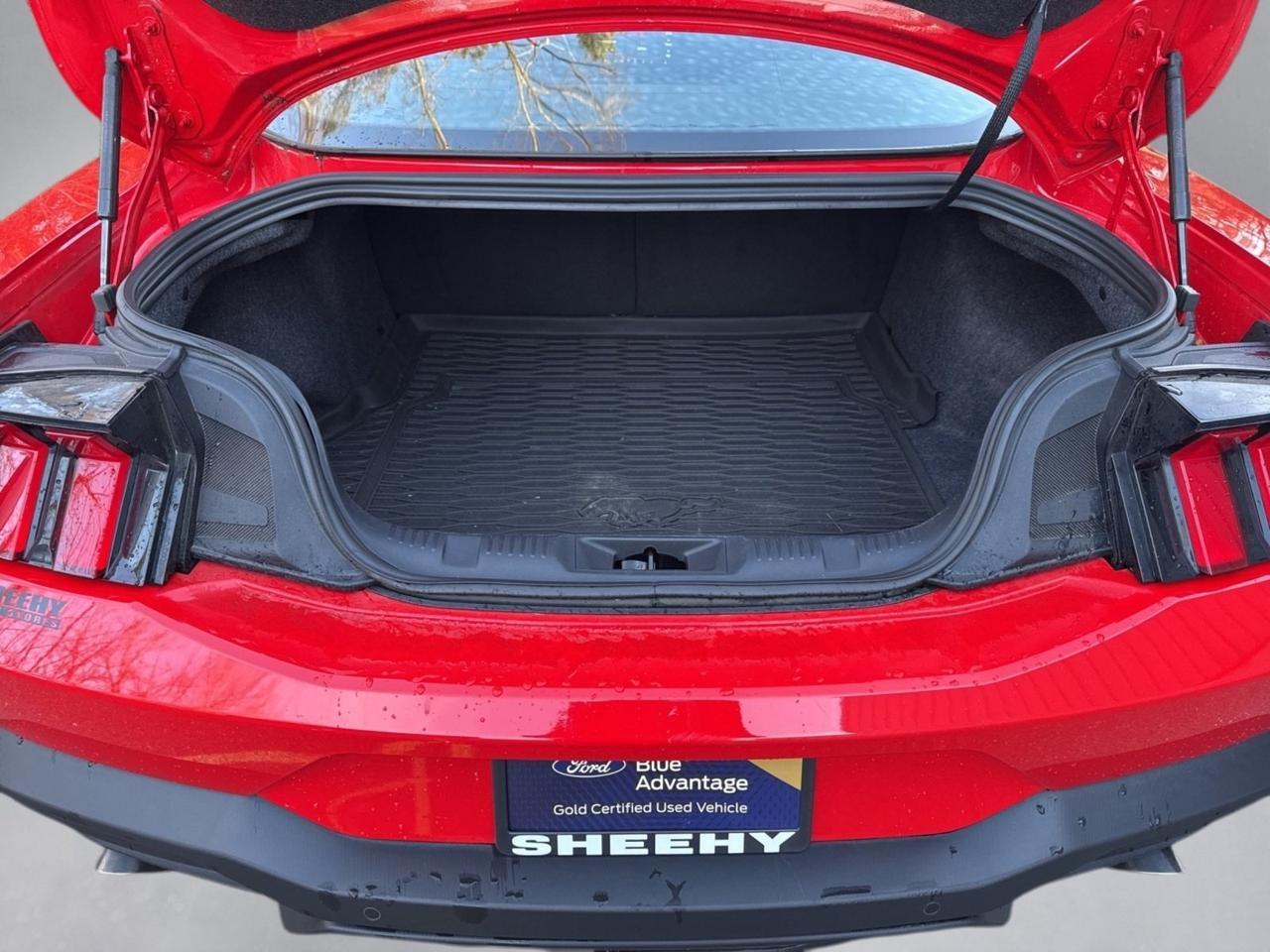 2024 Ford Mustang EcoBoost Warrenton VA