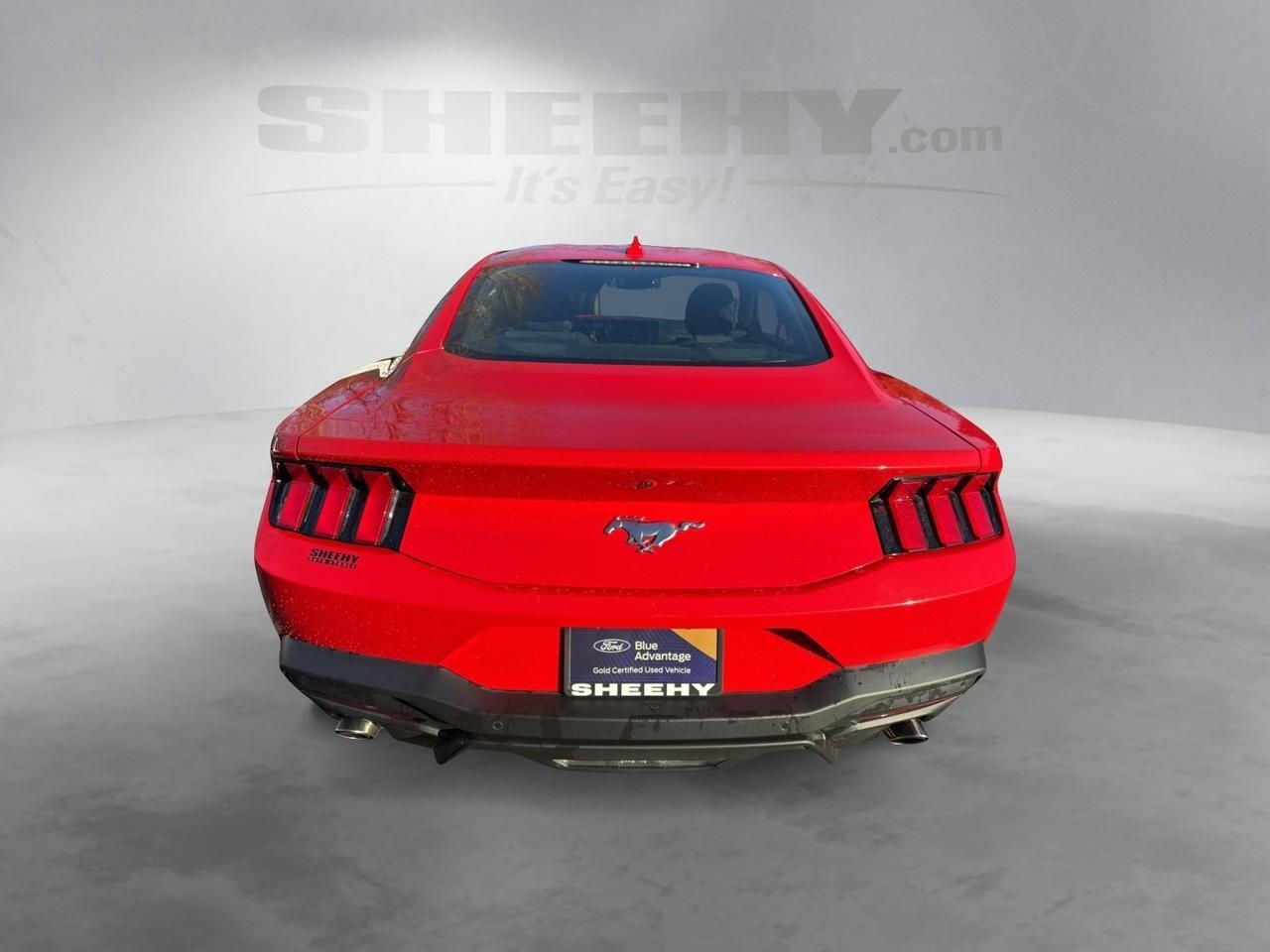 2024 Ford Mustang EcoBoost Warrenton VA