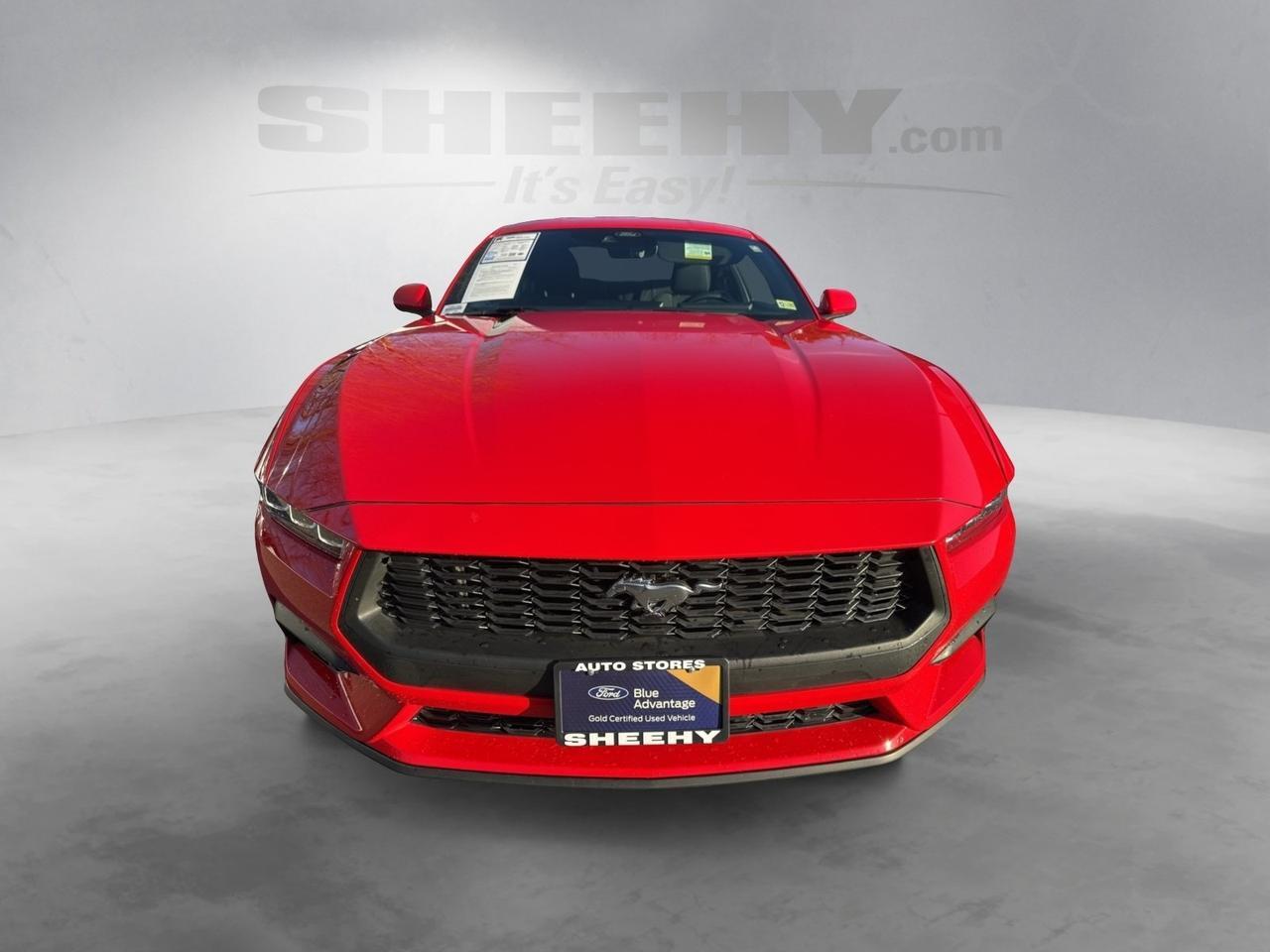 2024 Ford Mustang EcoBoost Warrenton VA