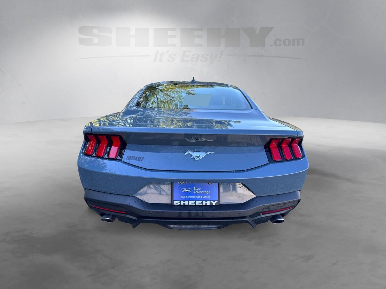 2024 Ford Mustang EcoBoost Warrenton VA
