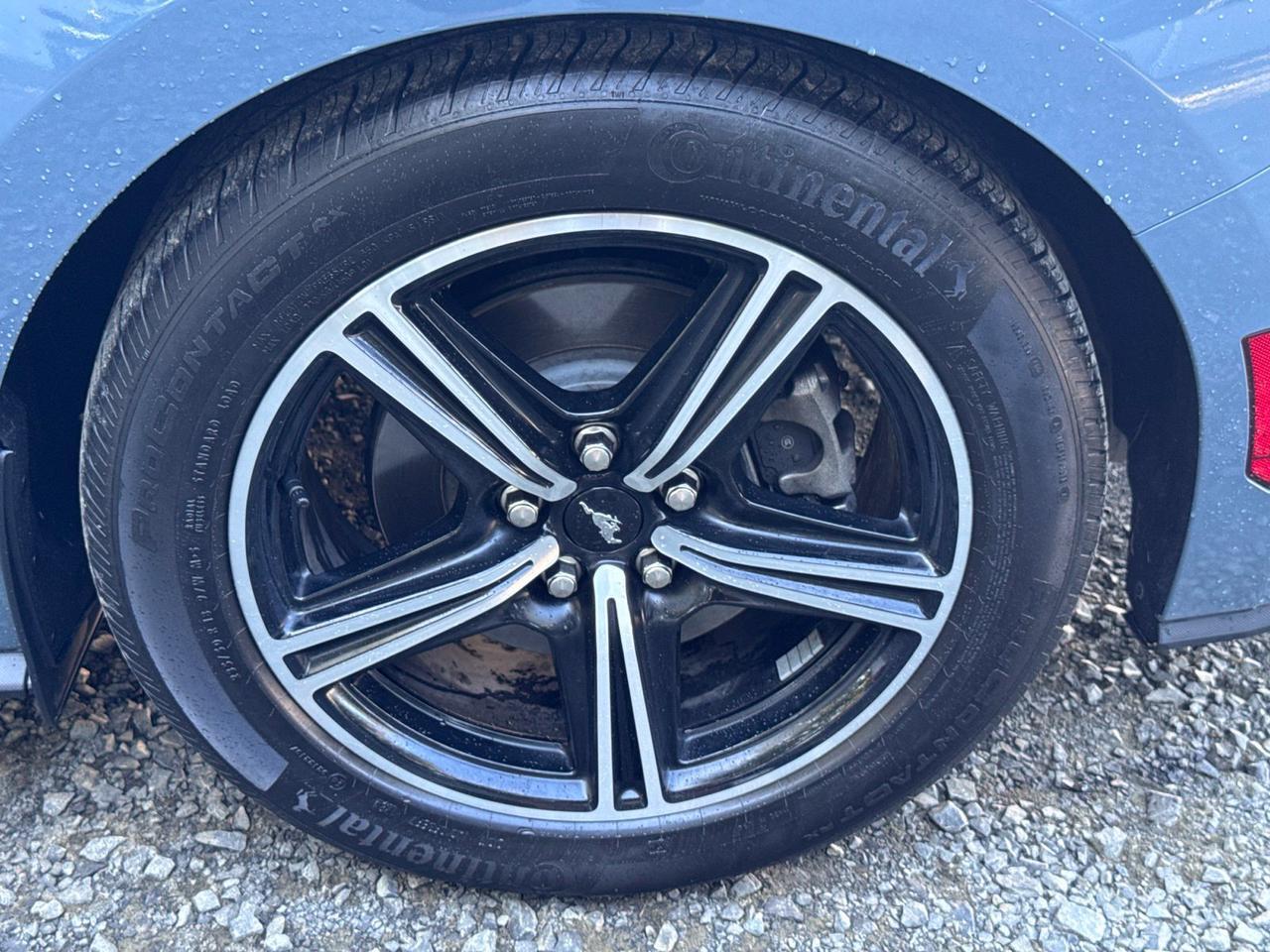 2024 Ford Mustang EcoBoost Warrenton VA