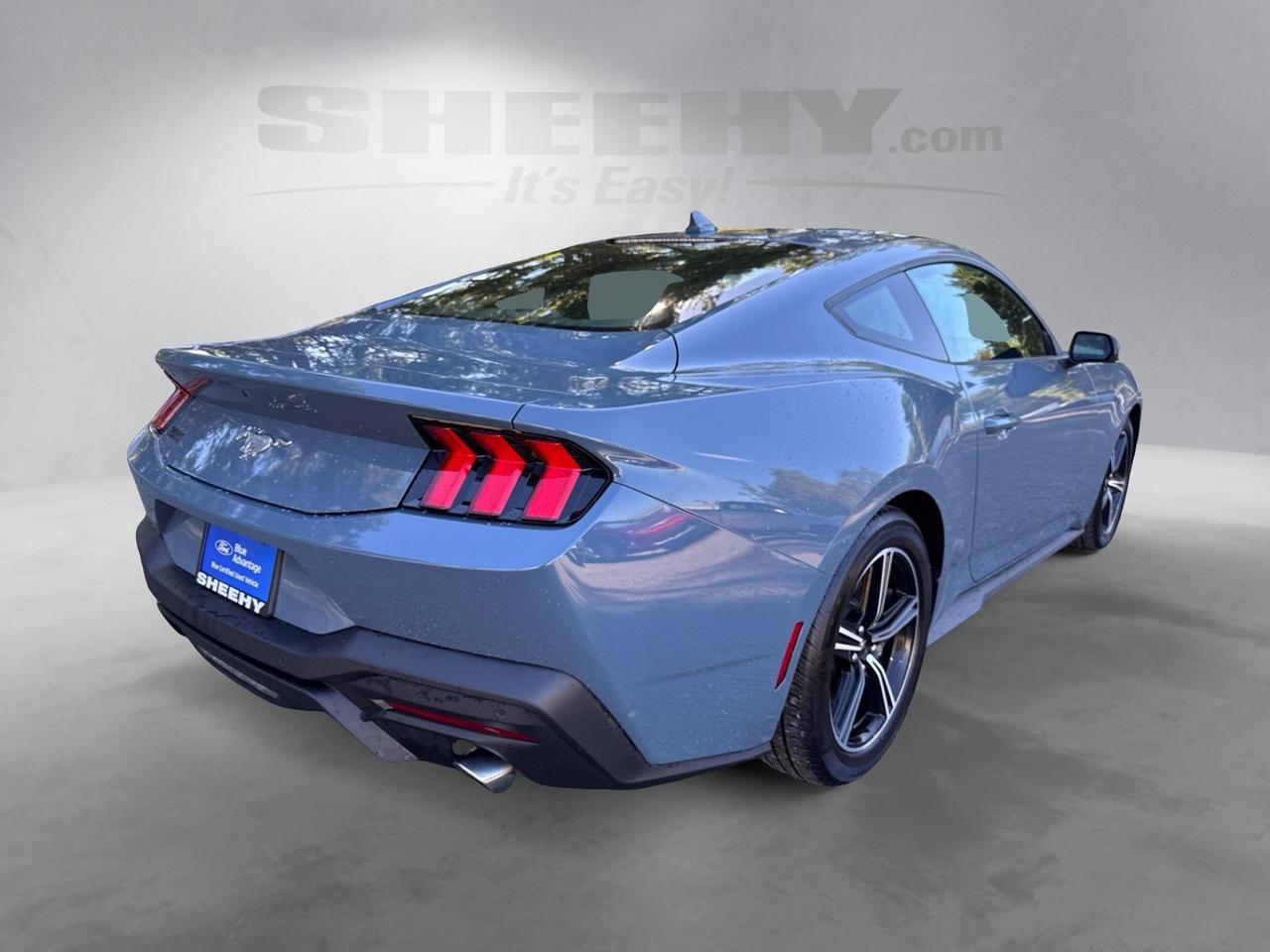 2024 Ford Mustang EcoBoost Warrenton VA