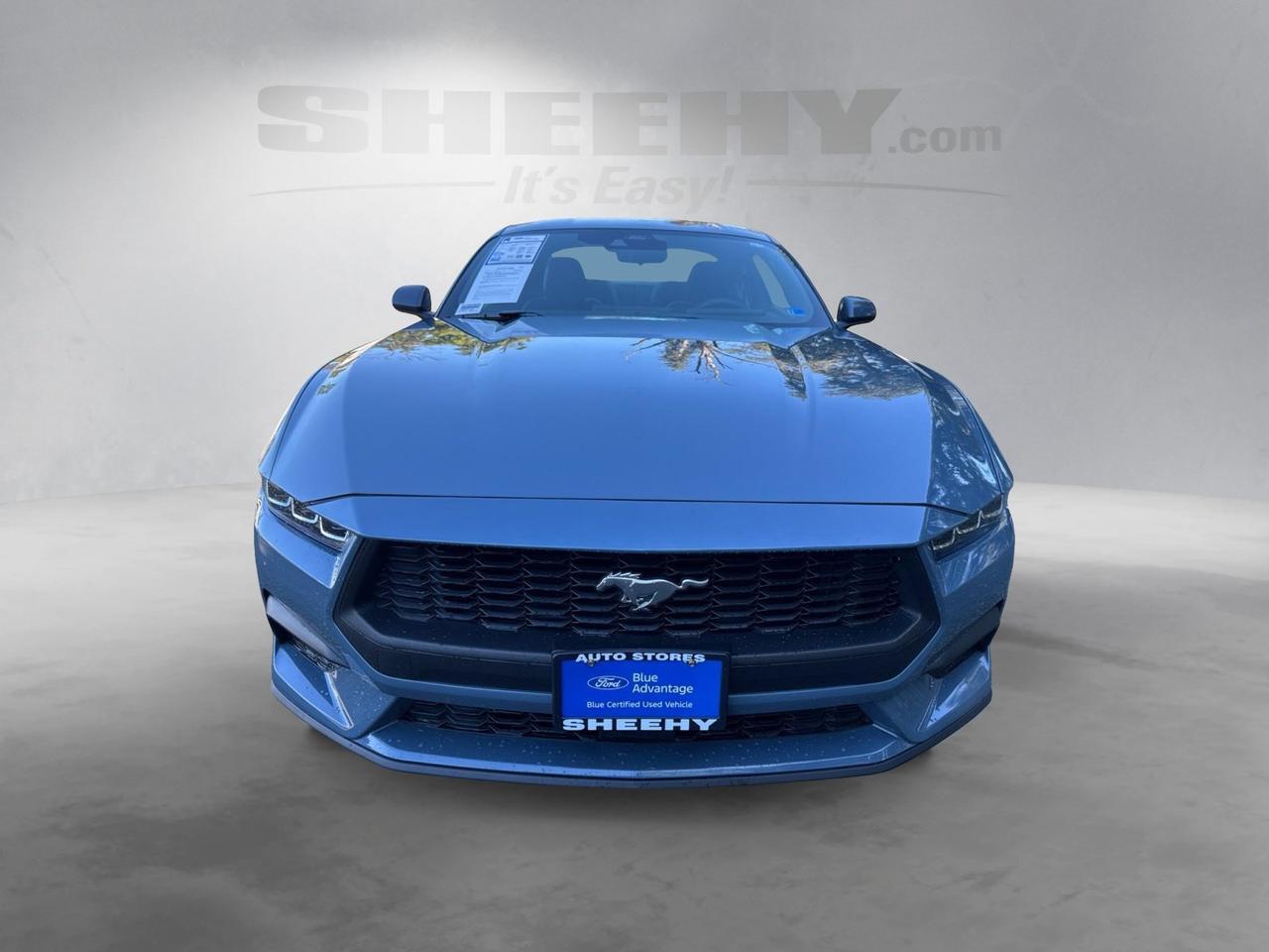2024 Ford Mustang EcoBoost Warrenton VA