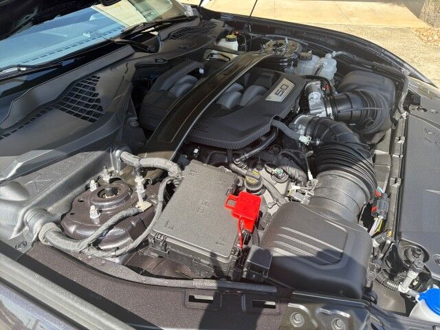 2024 Ford Mustang GT Performance Pkg 841 Miles Lafayette LA