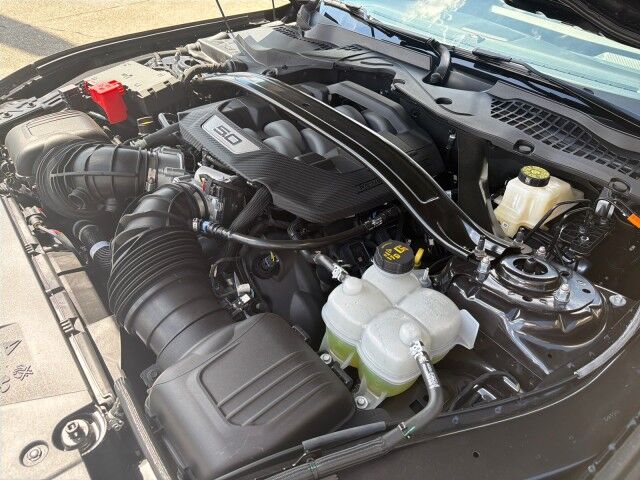 2024 Ford Mustang GT Performance Pkg 841 Miles Lafayette LA