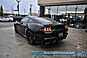 2024 Ford Mustang GT Premium / Nite Pony Pkg / 5.0L V8 / Automatic / Active Valve Exhaust / Auto Start / Heated Seats & Steering / B&O Speakers / Co-Pilot 360 Assist+ / Adaptive Cruise / Lane Depart & Blind Spot / Only 14k Miles / 1-Owner Anchorage AK 2024 Ford Mustang GT Premium / Nite Pony Pkg / 5.0L V8 / Automatic / Active Valve Exhaust / Auto Start / Heated Seats & Steering / B&O Speakers / Co-Pilot 360 Assist+ / Adaptive Cruise / Lane Depart & Blind Spot / Only 14k Miles / 1-Owner Anchorage AK