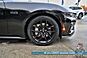 2024 Ford Mustang GT Premium / Nite Pony Pkg / 5.0L V8 / Automatic / Active Valve Exhaust / Auto Start / Heated Seats & Steering / B&O Speakers / Co-Pilot 360 Assist+ / Adaptive Cruise / Lane Depart & Blind Spot / Only 14k Miles / 1-Owner Anchorage AK 2024 Ford Mustang GT Premium / Nite Pony Pkg / 5.0L V8 / Automatic / Active Valve Exhaust / Auto Start / Heated Seats & Steering / B&O Speakers / Co-Pilot 360 Assist+ / Adaptive Cruise / Lane Depart & Blind Spot / Only 14k Miles / 1-Owner Anchorage AK