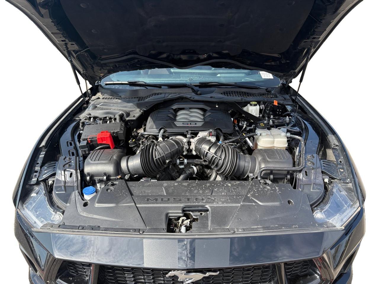 2024 Ford Mustang GT Premium New Braunfels TX