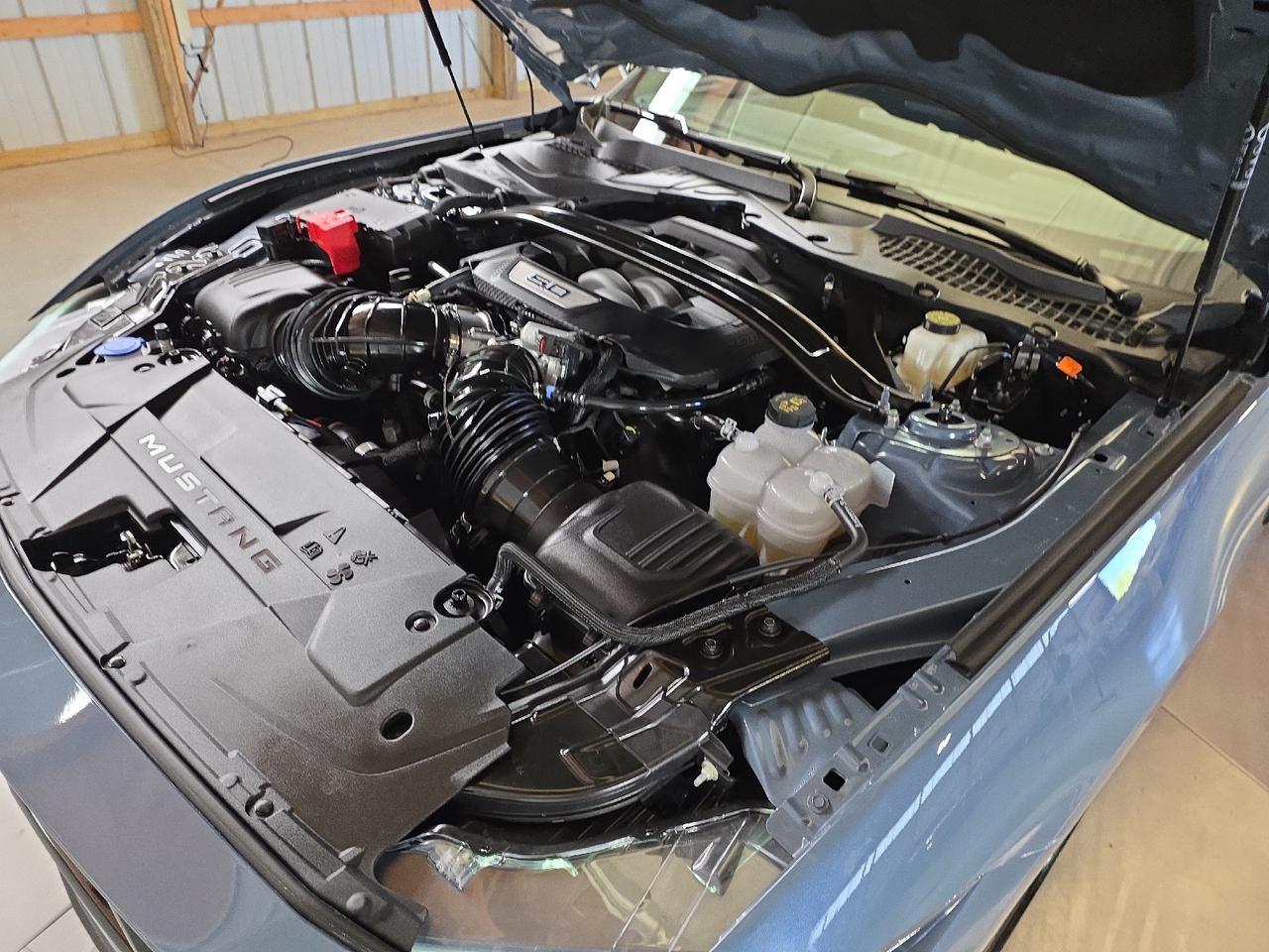 2024 Ford Mustang GT Premium Sand Lake NY