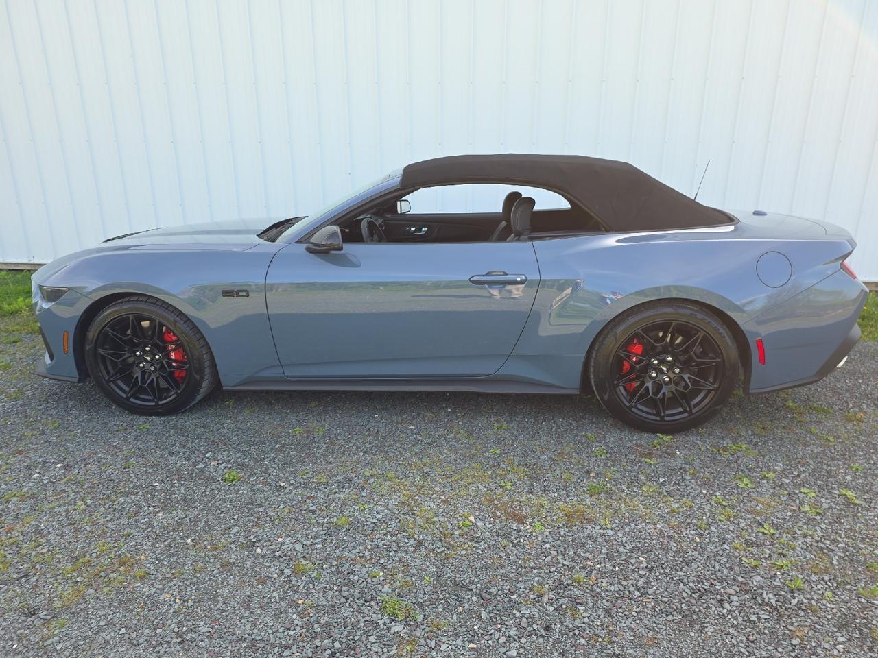 2024 Ford Mustang GT Premium Sand Lake NY