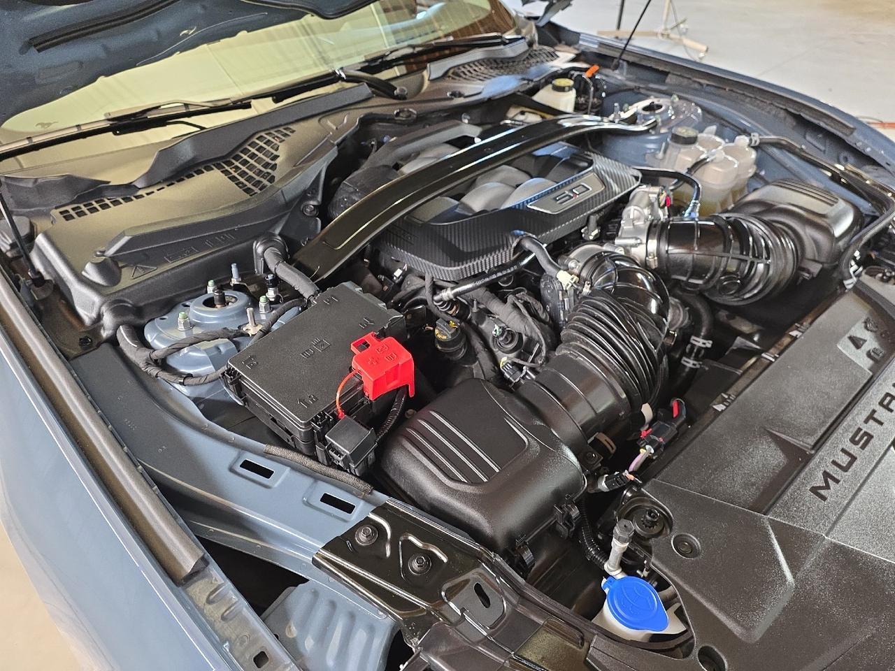 2024 Ford Mustang GT Premium Sand Lake NY